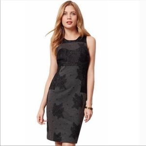 Maeve black gray lace flocked column dress
